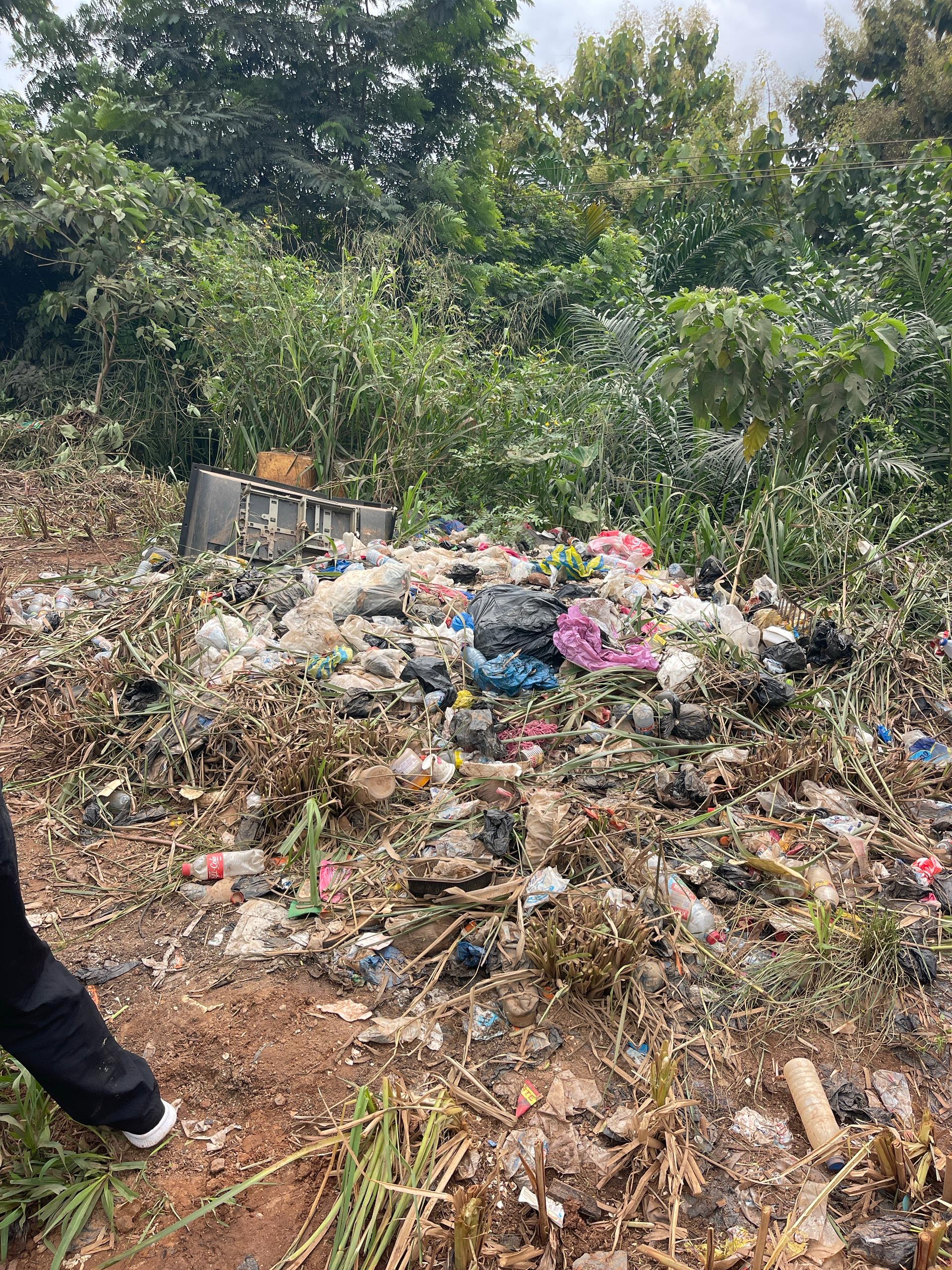 An illegal dumping site before a QuickPick clean-up